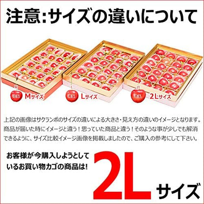 竹城青果 母の日 ぴったり！山形県産 さくらんぼ 佐藤錦 プレミアムボックス Mサイズ