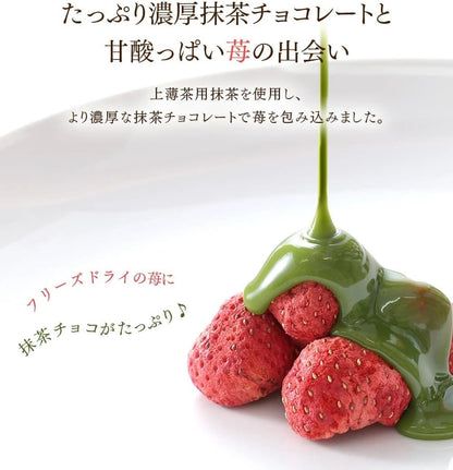 伊藤久右衛門 抹茶いちごチョコレートトリュフ お茶苺さん 3箱 セット 宇治抹茶 誕生日 ギフト プレゼント スイーツ お菓子