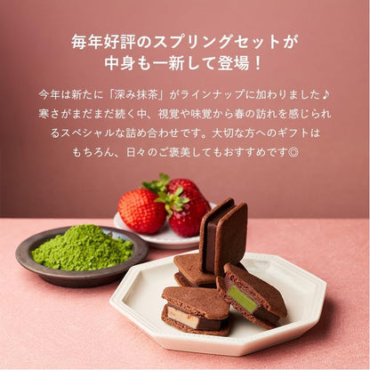 VANILLABEANS (バニラビーンズ) ショーコラ・スプリングセット8個入 [3/23着迄] チョコレート ギフト お菓子 ホワイトデー 春ギフト (手提げ袋付き) お返し プレゼント 手土産 スイーツ チョコ お祝い