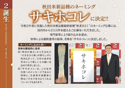 パールライス 秋田県産 白米 サキホコレ 5kg 令和7年産