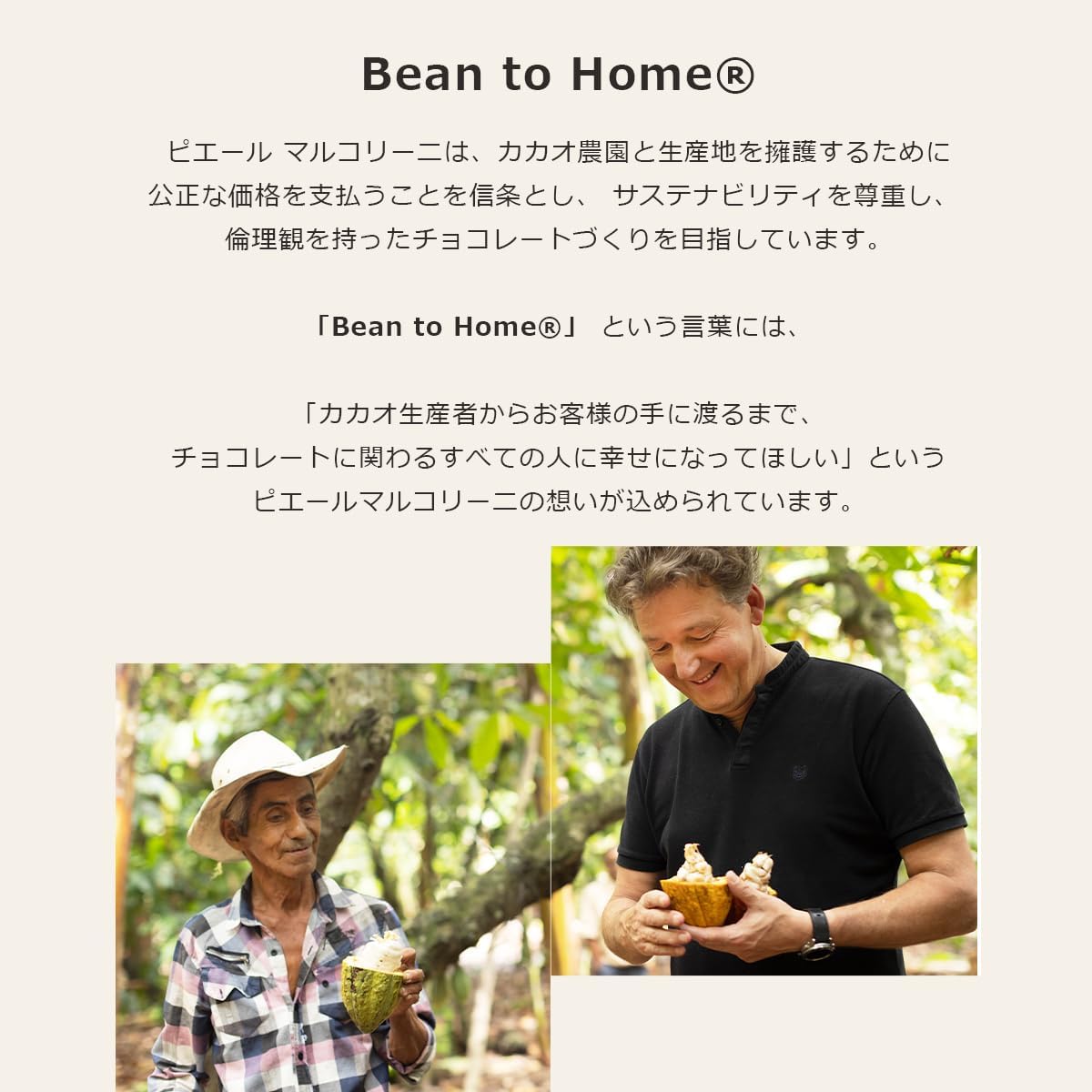 ピエール マルコリーニ（PIERRE MARCOLINI）日本公式 コフレ クール 母の日 スイーツ ギフト 2026 高級 ベルギー王室御用達 お祝い お返し 手提げ袋付き