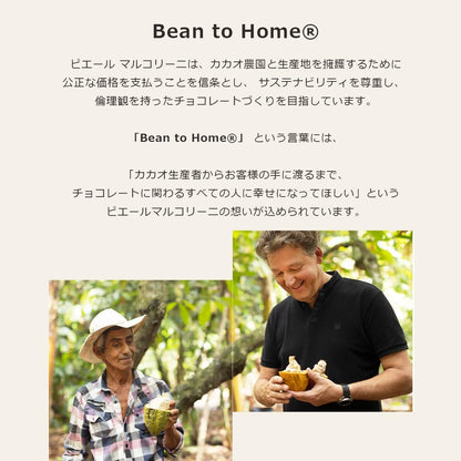 ピエール マルコリーニ（PIERRE MARCOLINI）日本公式 コフレ クール 母の日 スイーツ ギフト 2026 高級 ベルギー王室御用達 お祝い お返し 手提げ袋付き