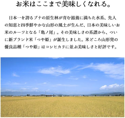 米 山形産つや姫 10kg 令和7年産
