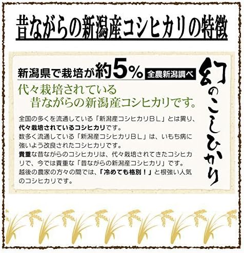 精白米 5kg 昔ながらの新潟産こしひかり 令和7年産 安心安全な特別栽培米
