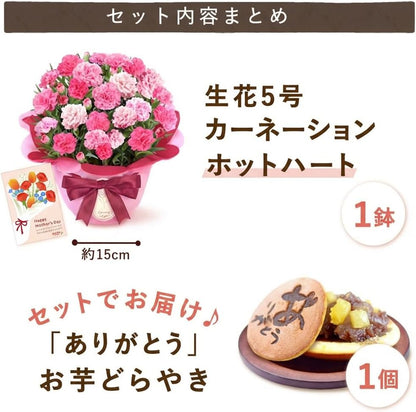 おいもや 母の日 2026 予約 プレゼント ギフト カーネーション 花 人気 鉢植え スイーツ お菓子 どら焼き オルフィカ MD