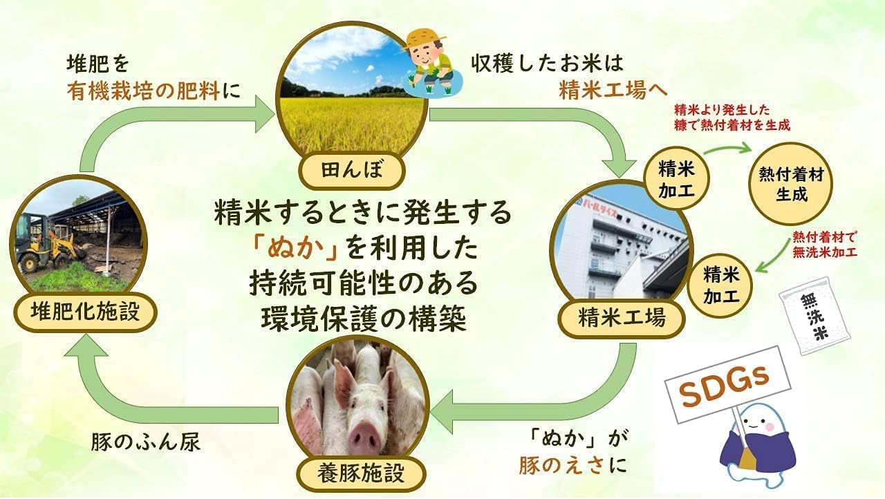 会津産 コシヒカリ 無洗米 5kg 令和7年産