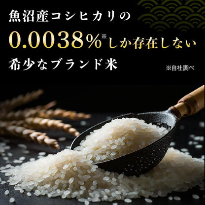令和7年産 魚沼産コシヒカリ「雪椿」 5㎏ 特別栽培米 極上 ミシュラン店御用達 減農薬栽培【雪椿米 5㎏】