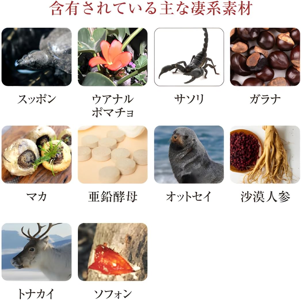 宝仙堂 凄十 1DAYパック 4粒入×2箱 栄養サポート 健康補助食品