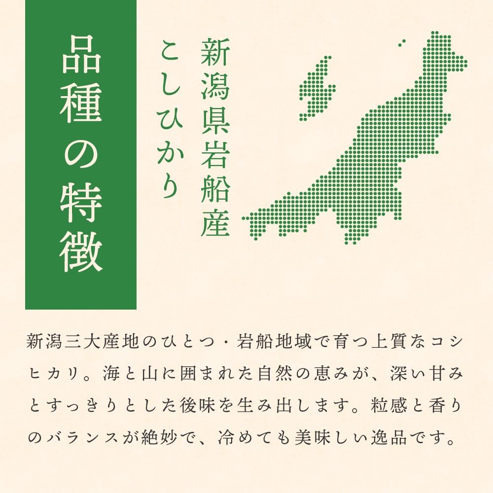【令和7年産】新潟 岩船産 コシヒカリ 無洗米 5kg 特別栽培米 雪室保管 こしひかり お米 お米場田心