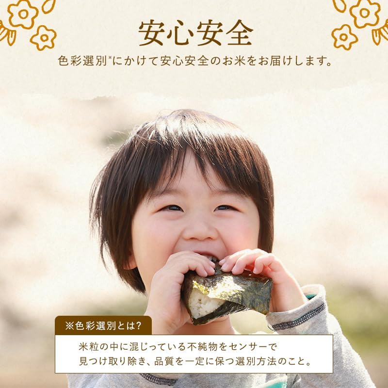 野沢農産 新米 令和7年産 らくらく無洗米玄米 5kg 長野県産 風さやか