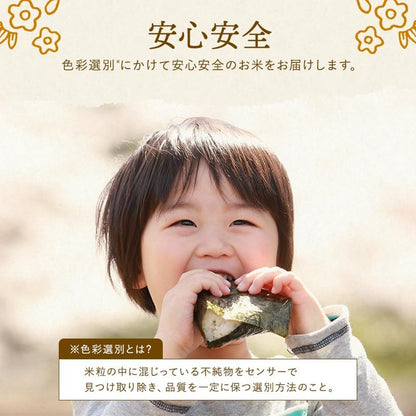 野沢農産 新米 令和7年産 らくらく無洗米玄米 5kg 長野県産 風さやか