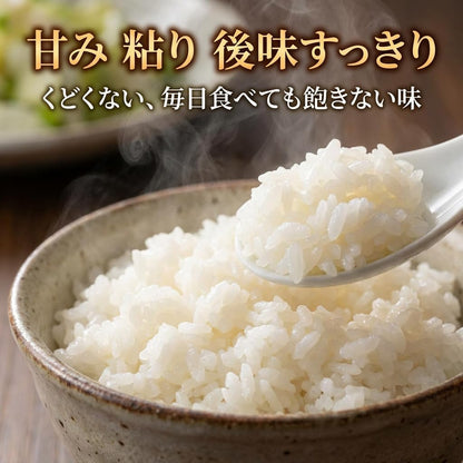 野沢農産 コシヒカリ 5kg 長野県産 令和7年産 通常精米 冷めても粒感が続くお弁当・おにぎり向け 寒暖差育ちの信州米