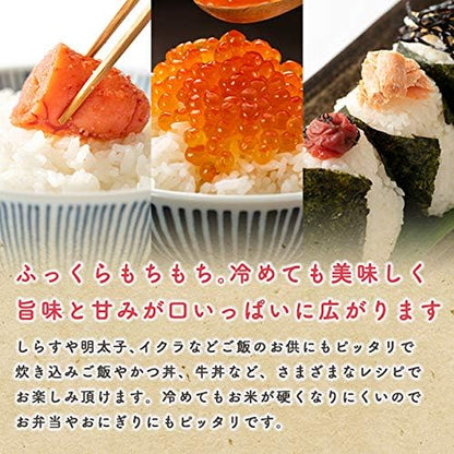 【無洗米】米 5kg 令和7年産 秋田県産 あきたこまち 厳選米 (5kg×1袋)