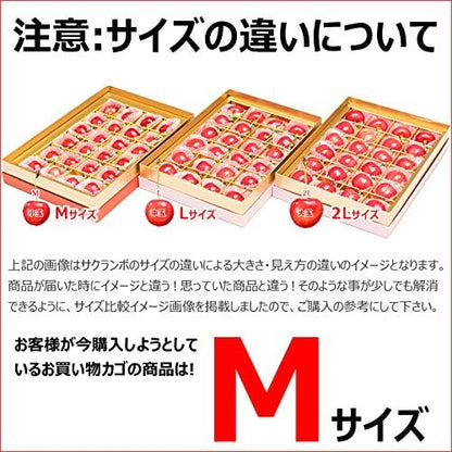 竹城青果 母の日 ぴったり！山形県産 さくらんぼ 佐藤錦 プレミアムボックス Mサイズ