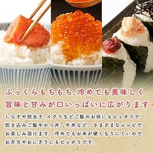 【家計お助け米】米 5kg 令和7年産 秋田県産 家計お助け米 あきたこまち 厳選米 単一原料米100％ (5kg×1袋)