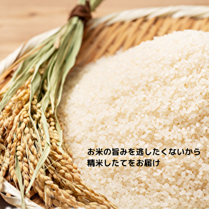 【家計お助け米】米 5kg 令和7年産 秋田県産 家計お助け米 あきたこまち 厳選米 単一原料米100％ (5kg×1袋)