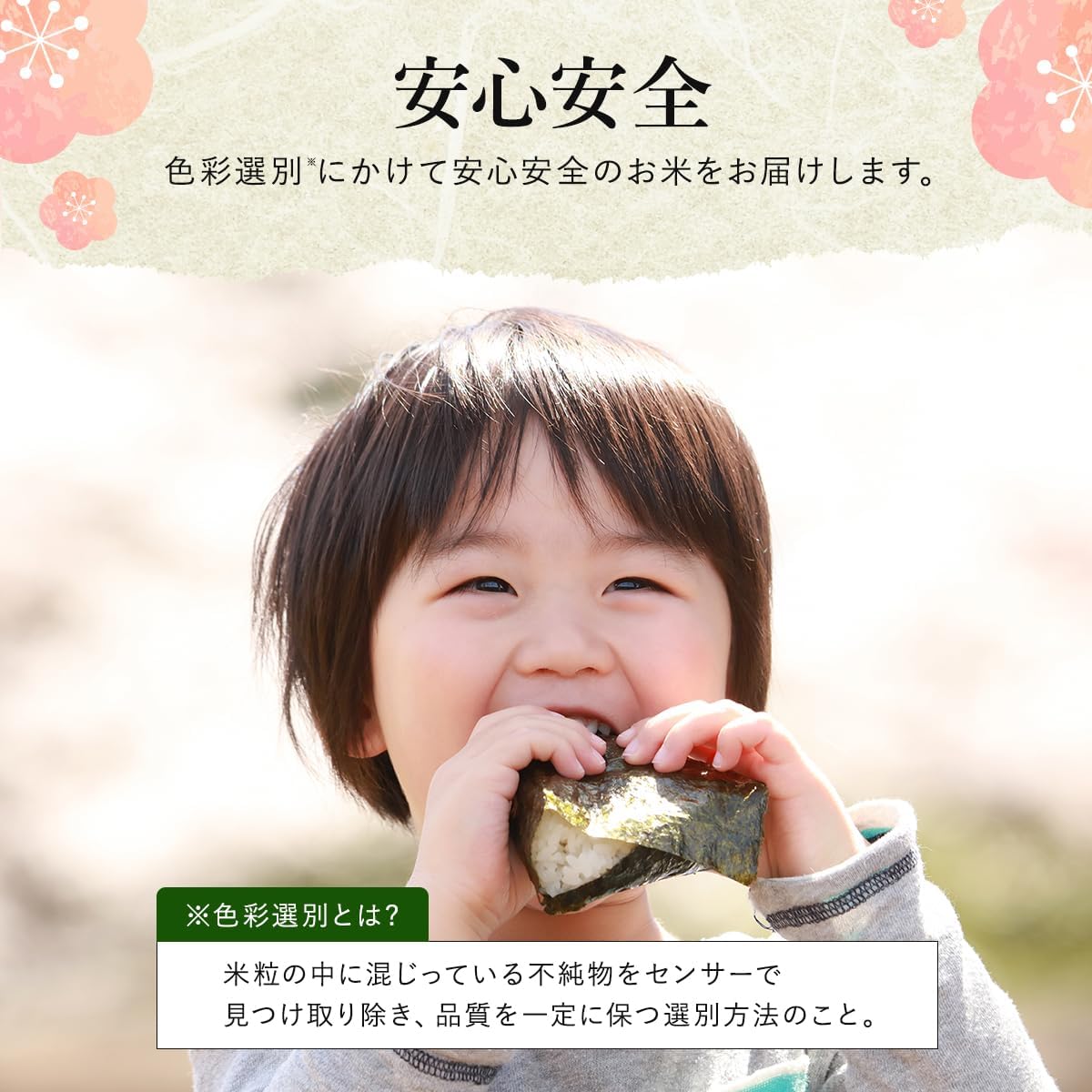 野沢農産 令和7年産 米 お米 無洗米 新潟県 魚沼産 コシヒカリ 5kg mybest 2026年3月受賞