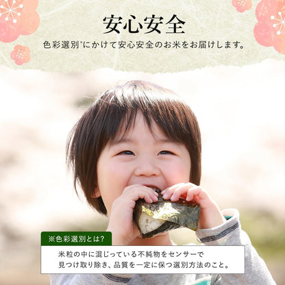 野沢農産 令和7年産 米 お米 無洗米 新潟県 魚沼産 コシヒカリ 5kg mybest 2026年3月受賞