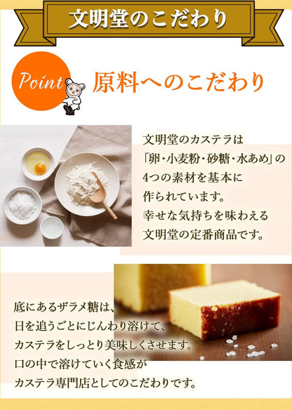文明堂のカステラ 0.5A号 手土産／ギフト／お礼／お返し 2本入（5切れ×2本）