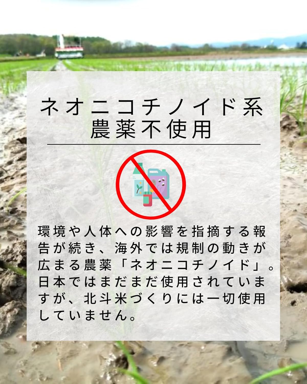 農薬節減米 北海道産 北斗米ななつぼし 5kg 白米 【令和7年産】