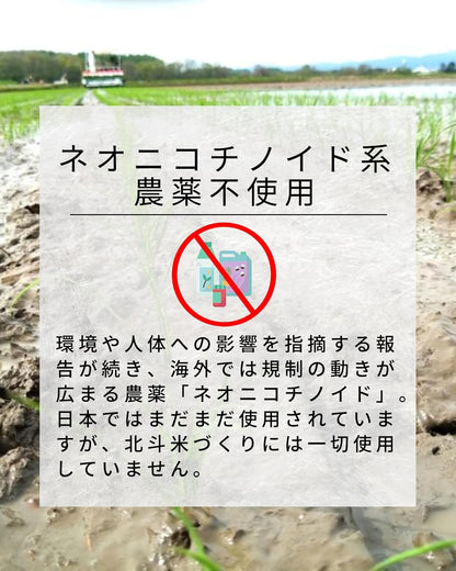 農薬節減米 北海道産 北斗米ななつぼし 5kg 白米 【令和7年産】