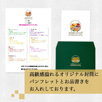 フルーツギフト 季節の果物 詰め合わせ「厳選」贈り物 ギフト プレゼント ありがとう お祝い 誕生日 お歳暮 お中元 季節 旬 果物 フルーツ (S)