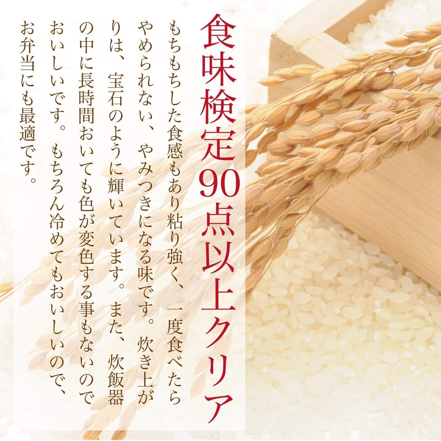 精米 令和７年産 コシヒカリ 常陸小田米 5kg 精米 白米 五ツ星お米マイスター 食味検定90点以上 茨城県産 筑波農場 ふるさとファーム