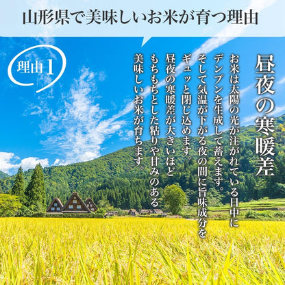 精米 令和７年産 特A 山形県産 つや姫 雪若丸 10kg (各5kg×2) 食べ比べセット 白米 精米 ふるさとファーム
