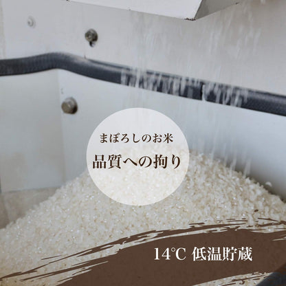 精米 令和７年産 コシヒカリ 常陸小田米 5kg 精米 白米 五ツ星お米マイスター 食味検定90点以上 茨城県産 筑波農場 ふるさとファーム