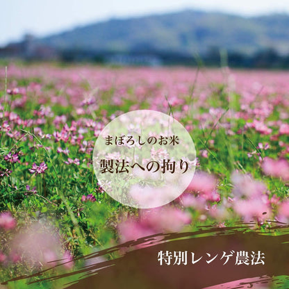 精米 令和７年産 コシヒカリ 常陸小田米 5kg 精米 白米 五ツ星お米マイスター 食味検定90点以上 茨城県産 筑波農場 ふるさとファーム