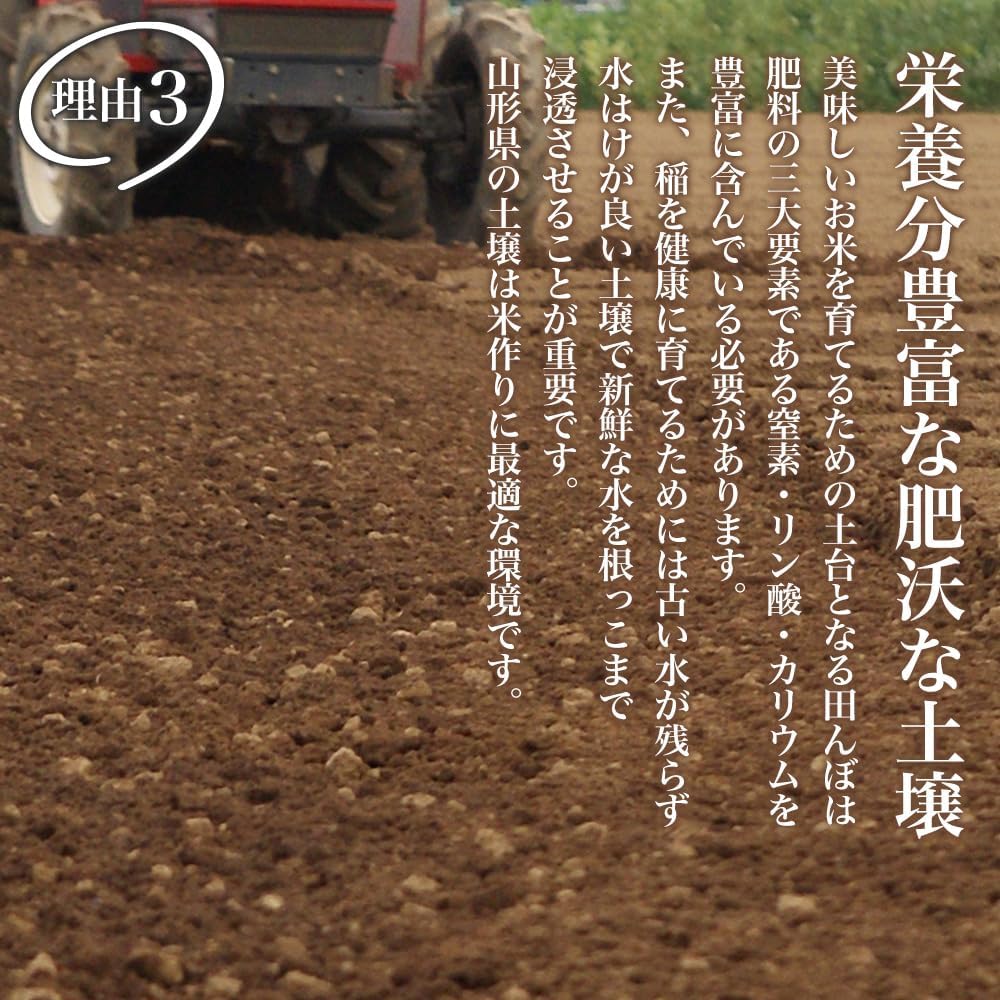 精米 令和７年産 特A 山形県産 つや姫 雪若丸 10kg (各5kg×2) 食べ比べセット 白米 精米 ふるさとファーム