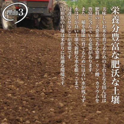 精米 令和７年産 特A 山形県産 つや姫 雪若丸 10kg (各5kg×2) 食べ比べセット 白米 精米 ふるさとファーム