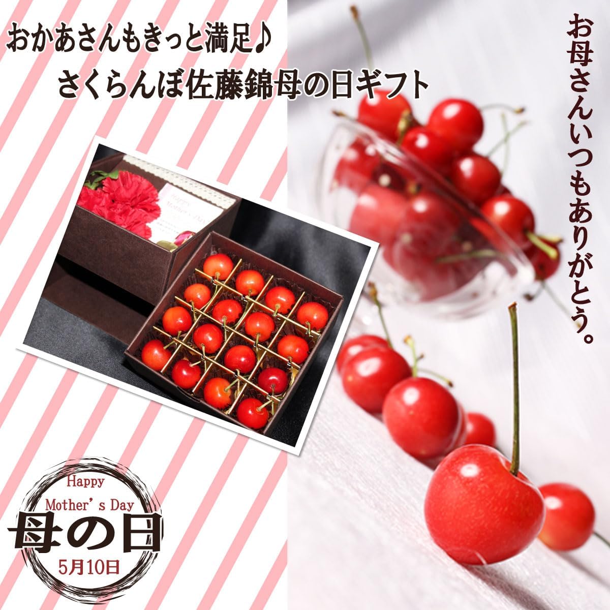 【母の日までお届け】2026 母の日 成澤農園 さくらんぼ ギフト 佐藤錦 M玉 化粧箱入 カーネーション & メッセージカード 付