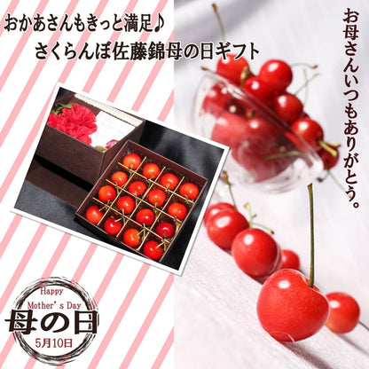 【母の日までお届け】2026 母の日 成澤農園 さくらんぼ ギフト 佐藤錦 M玉 化粧箱入 カーネーション & メッセージカード 付