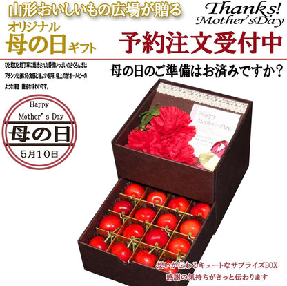 【母の日までお届け】2026 母の日 成澤農園 さくらんぼ ギフト 佐藤錦 M玉 化粧箱入 カーネーション & メッセージカード 付
