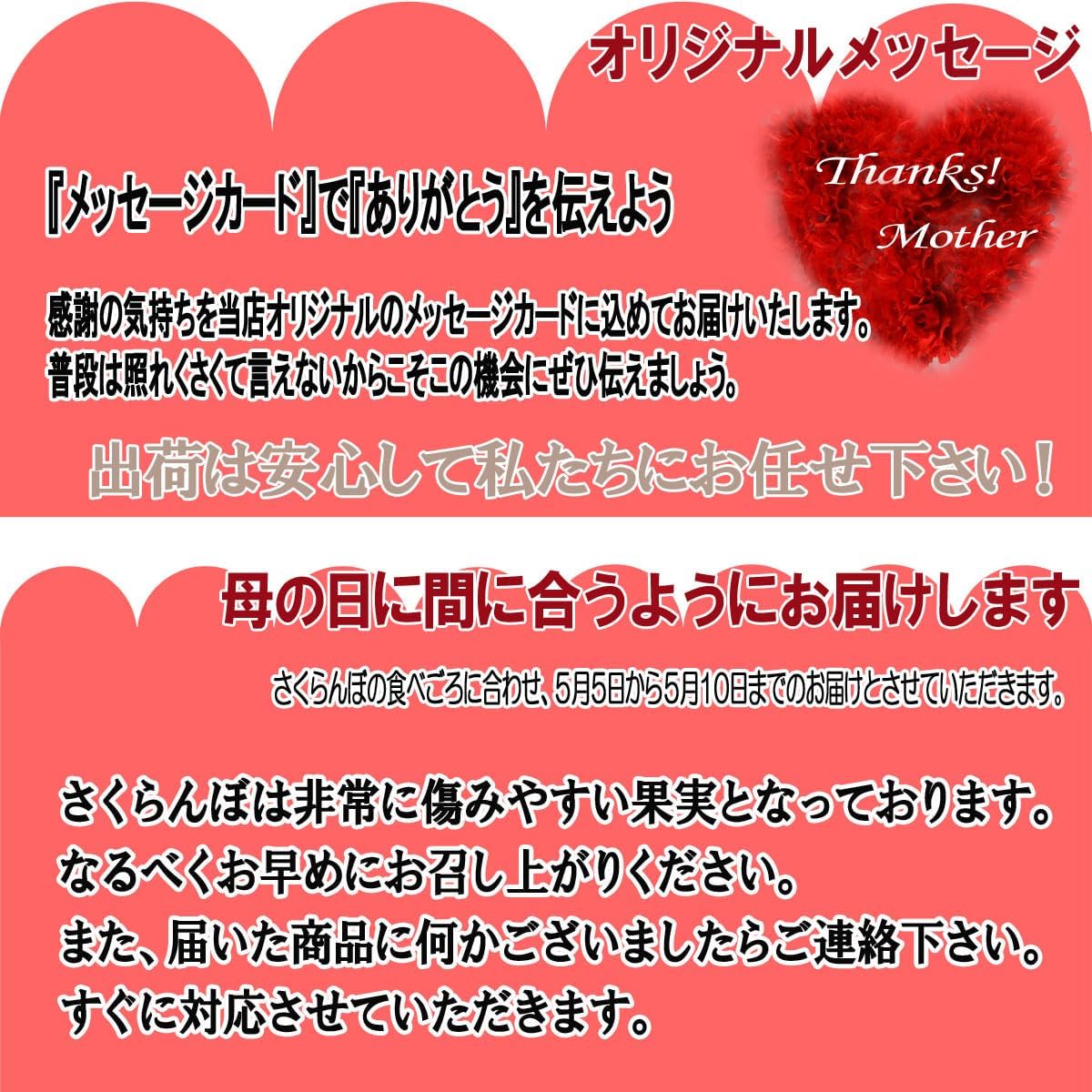 【母の日までお届け】2026 母の日 成澤農園 さくらんぼ ギフト 佐藤錦 M玉 化粧箱入 カーネーション & メッセージカード 付