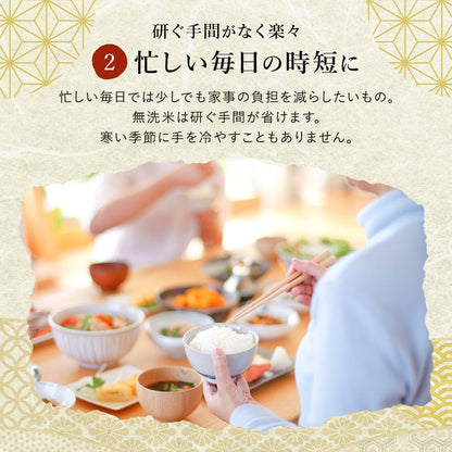 野沢農産 令和7年産 米 お米 無洗米 新潟県 魚沼産 コシヒカリ 5kg mybest 2026年3月受賞