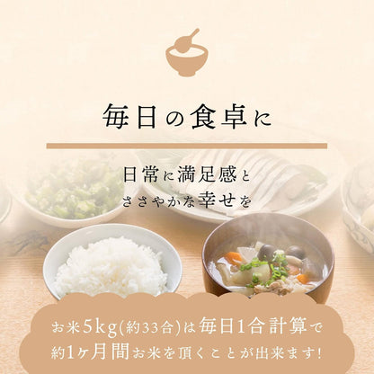 【令和7年産】新潟 岩船産 コシヒカリ 無洗米 5kg 特別栽培米 雪室保管 こしひかり お米 お米場田心