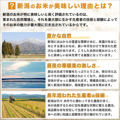 令和7年産 新潟産 つきあかり 5kg