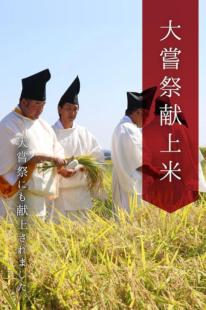 農業生産法人ワタナベ 令和7年産 無洗米 5kg お米 【 大粒 で冷めても美味しい 甘み旨み粒しっかり 】 栃木県 新ブランド とちぎの星 米 おこめ/ 5kg×1袋