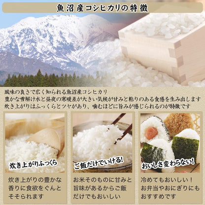 令和7年産 産直 魚沼産 コシヒカリ 4kg (2kg×2袋) 米 新潟産 新鮮密封 窒素充填包装 チャック付き保存袋