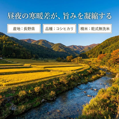 野沢農産 無洗米 青い流るる コシヒカリ 5kg 長野県産 令和7年産 忙しい平日や子育て家庭に嬉しい研がずに炊けるお米 冷めても美味しくお弁当・おにぎりに最適