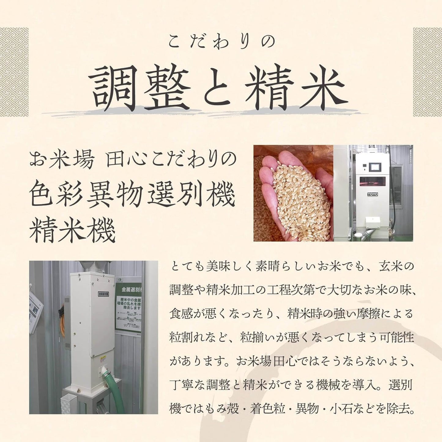 【令和7年産】新潟 岩船産 コシヒカリ 無洗米 5kg 特別栽培米 雪室保管 こしひかり お米 お米場田心