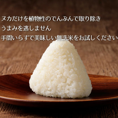 新潟県産新之助 無洗米 5kg 令和7年産