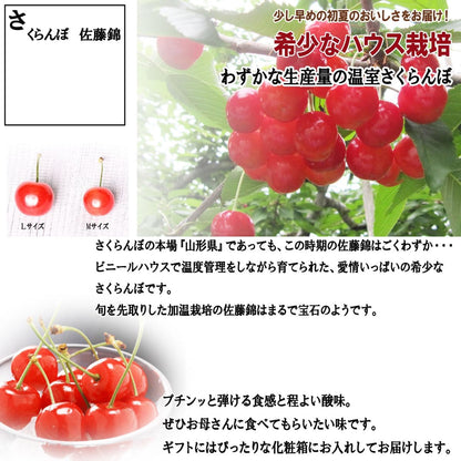 【母の日までお届け】2026 母の日 成澤農園 さくらんぼ ギフト 佐藤錦 M玉 化粧箱入 カーネーション & メッセージカード 付