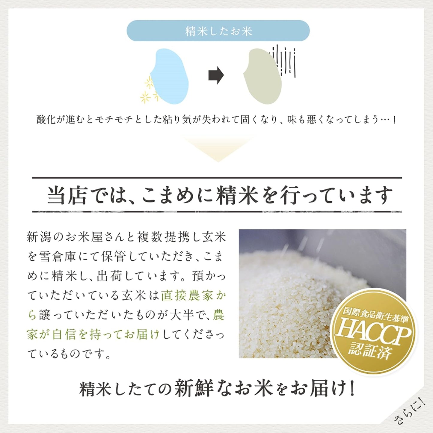 米 5kg 新潟県産 コシヒカリ 令和7年産｜雪室保管・精米したて｜粒感しっかり 冷めてもおいしい お米 こしひかり｜旨い米なら、これこれ