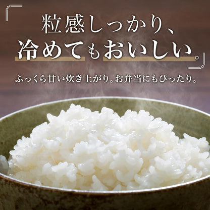 米 5kg 新潟県産 コシヒカリ 令和7年産｜雪室保管・精米したて｜粒感しっかり 冷めてもおいしい お米 こしひかり｜旨い米なら、これこれ