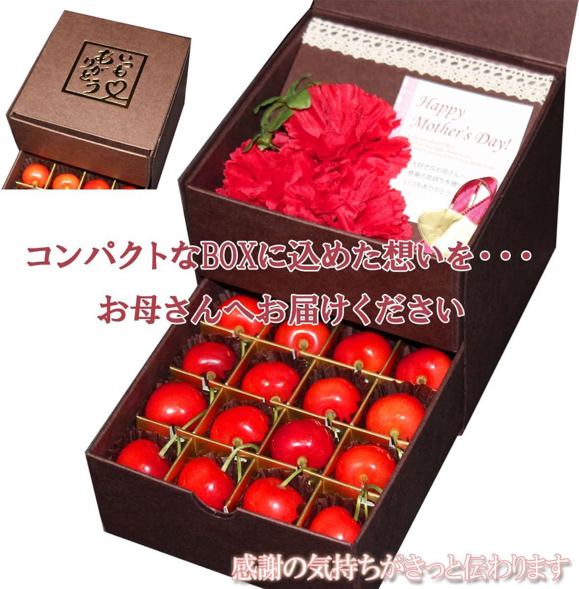 【母の日までお届け】2026 母の日 成澤農園 さくらんぼ ギフト 佐藤錦 M玉 化粧箱入 カーネーション & メッセージカード 付
