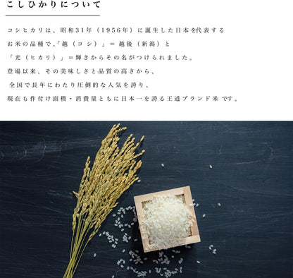新潟県産コシヒカリ 和泉 ５kg 令和7年産【受注後精米 農家直送】