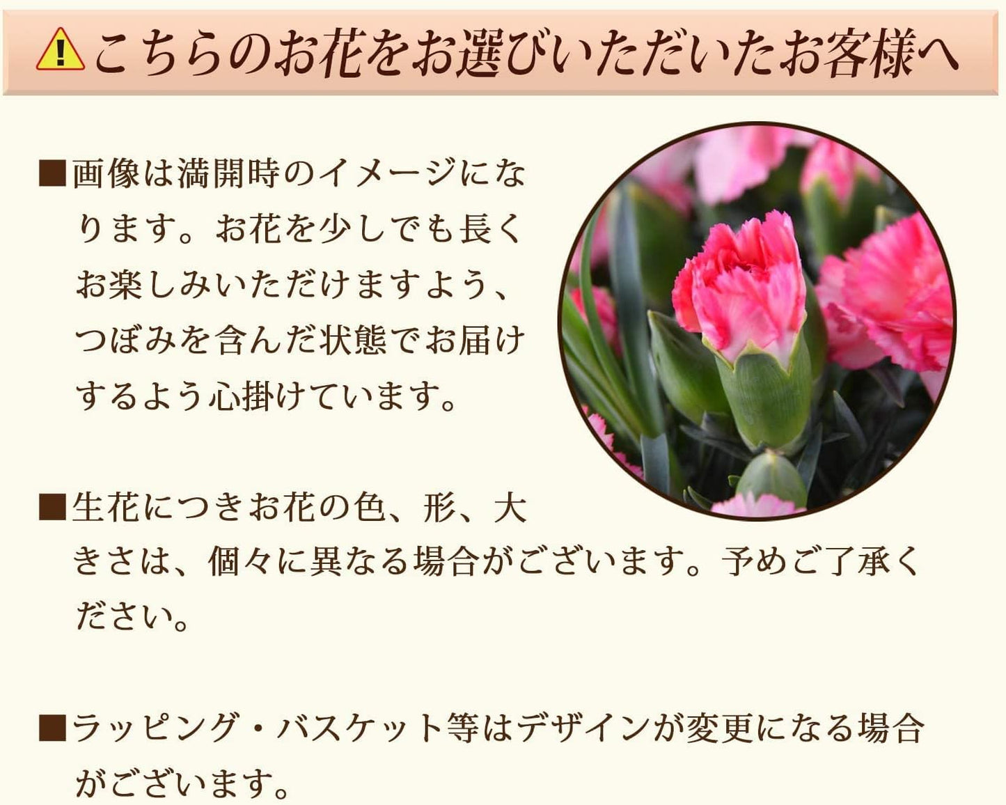 花のギフト社 母の日 花とスイーツ 花 鉢植え カーネーション 花鉢 プレゼント お菓子 スイーツ